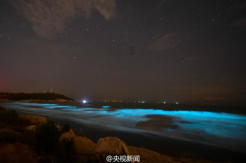 救援度假的法官